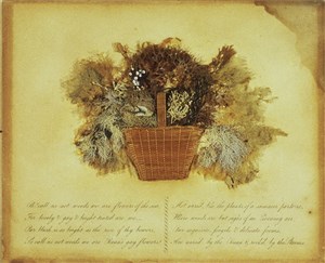 Image description is not available for DH.275